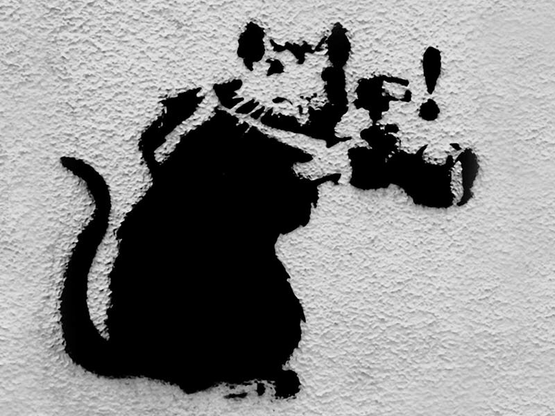 Paparatzzi banksy wallpaper